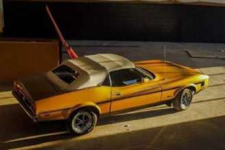 1973 Ford Mustang  for sale  photo 4