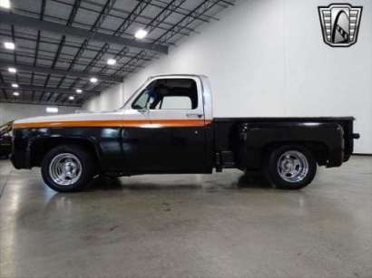 1981 Chevrolet C10/K10 2WD for sale  photo 1