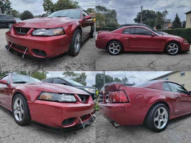 2004 Ford Mustang SVT Cobra used for sale