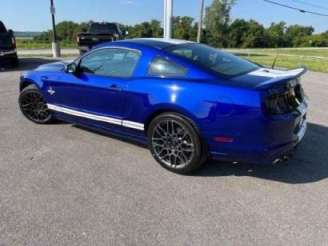 2013 Ford Shelby GT500 for sale  photo 3